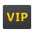 icons8 vip 48